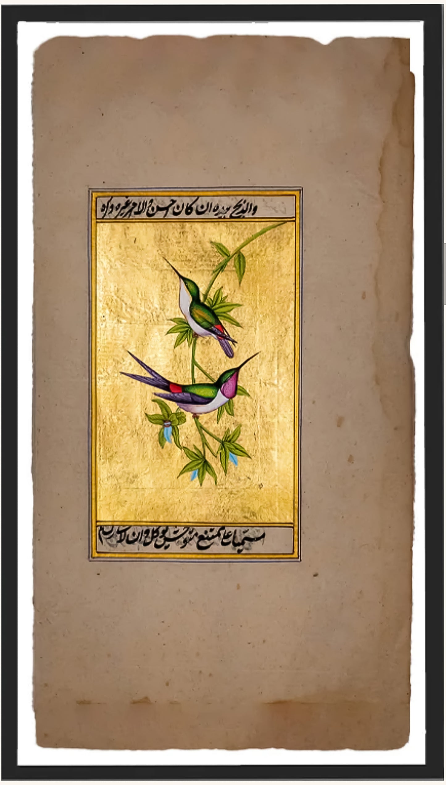 Pakshiyon ka joda
