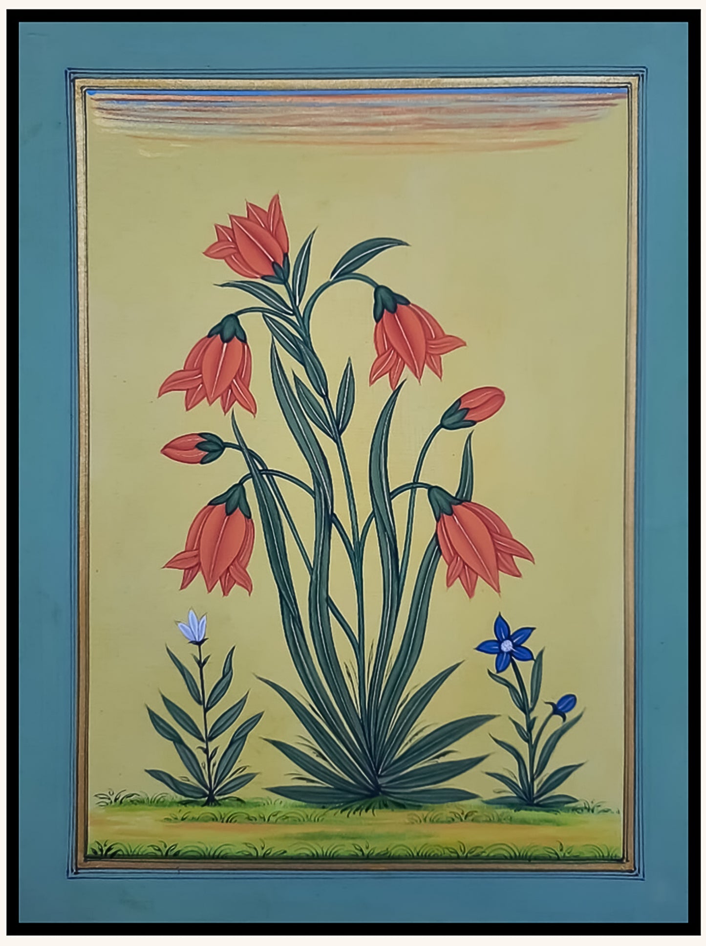Bloom of the Amaryllis