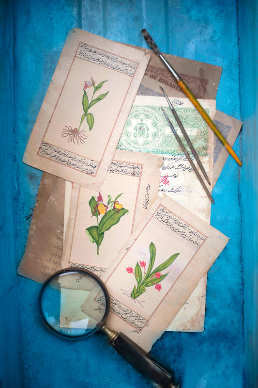 India in botanicals (Set of 3)
