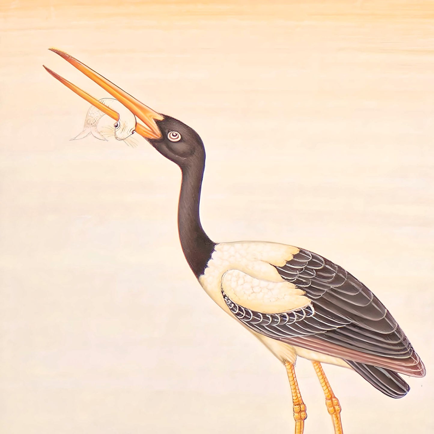 A Pair of Fine Bird