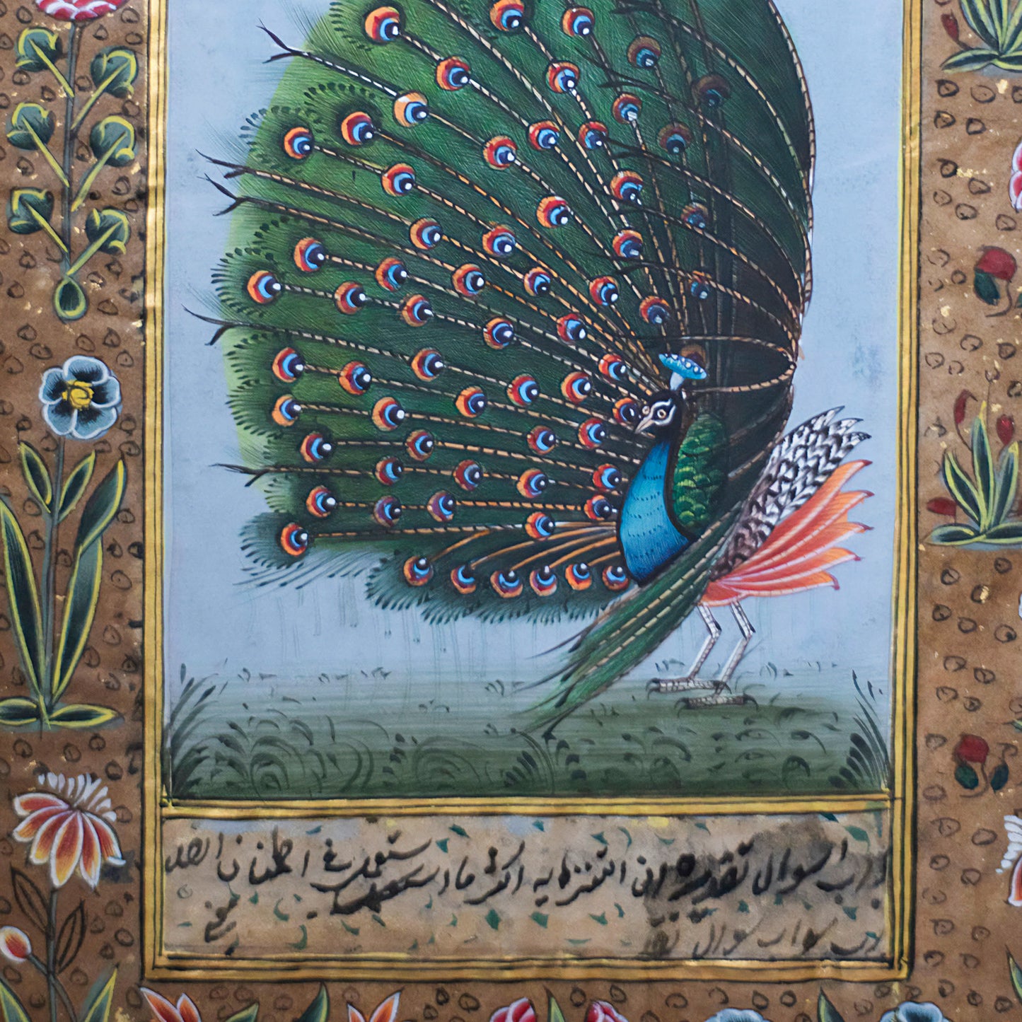 Miniature Peacock