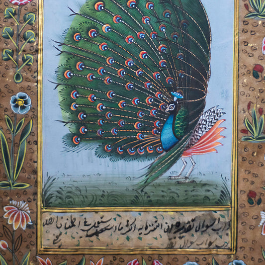 Miniature Peacock