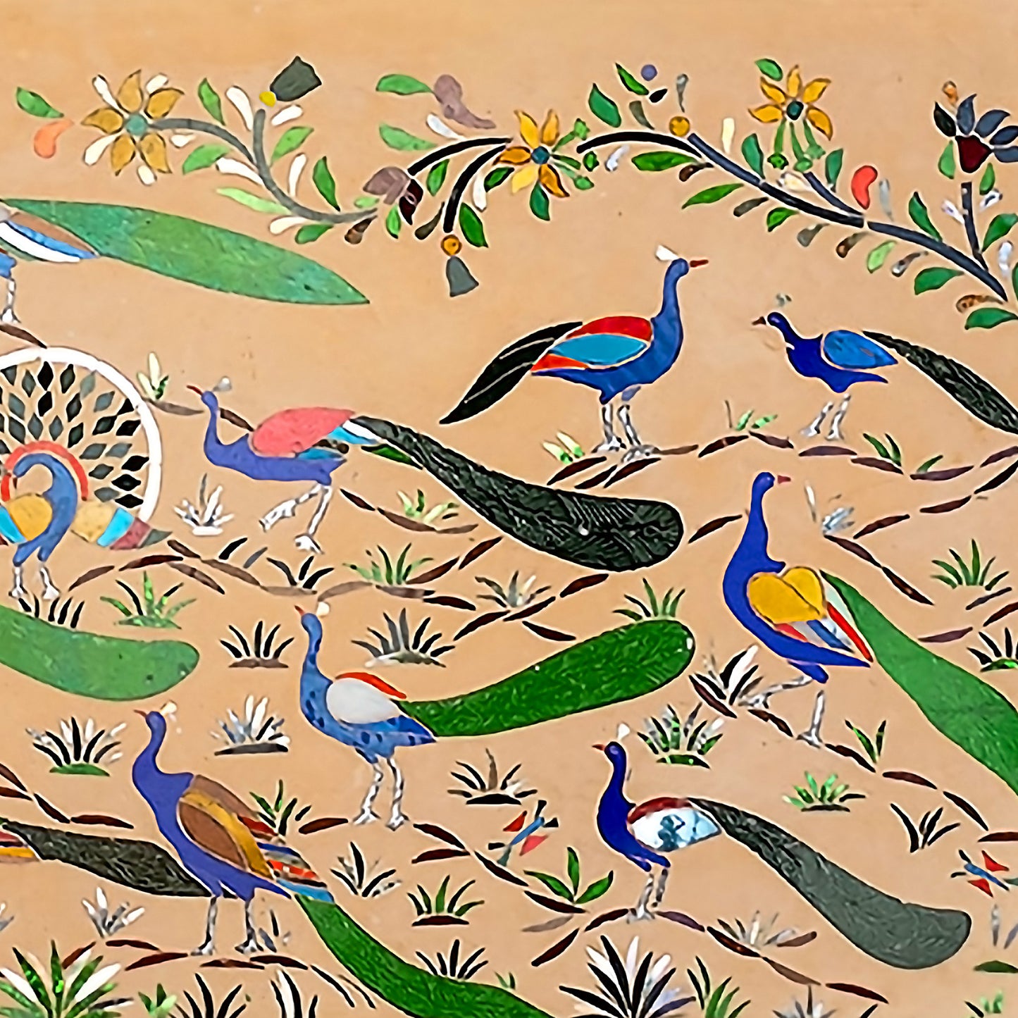 A pride of peacocks
