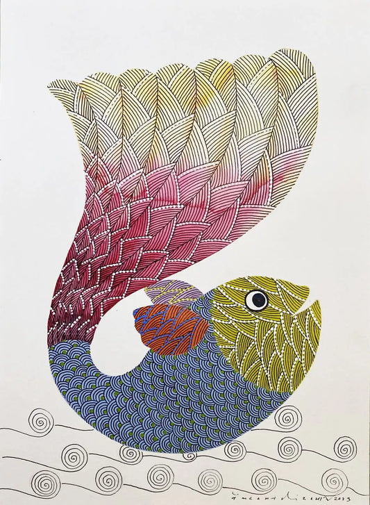 Moon Tail Fish