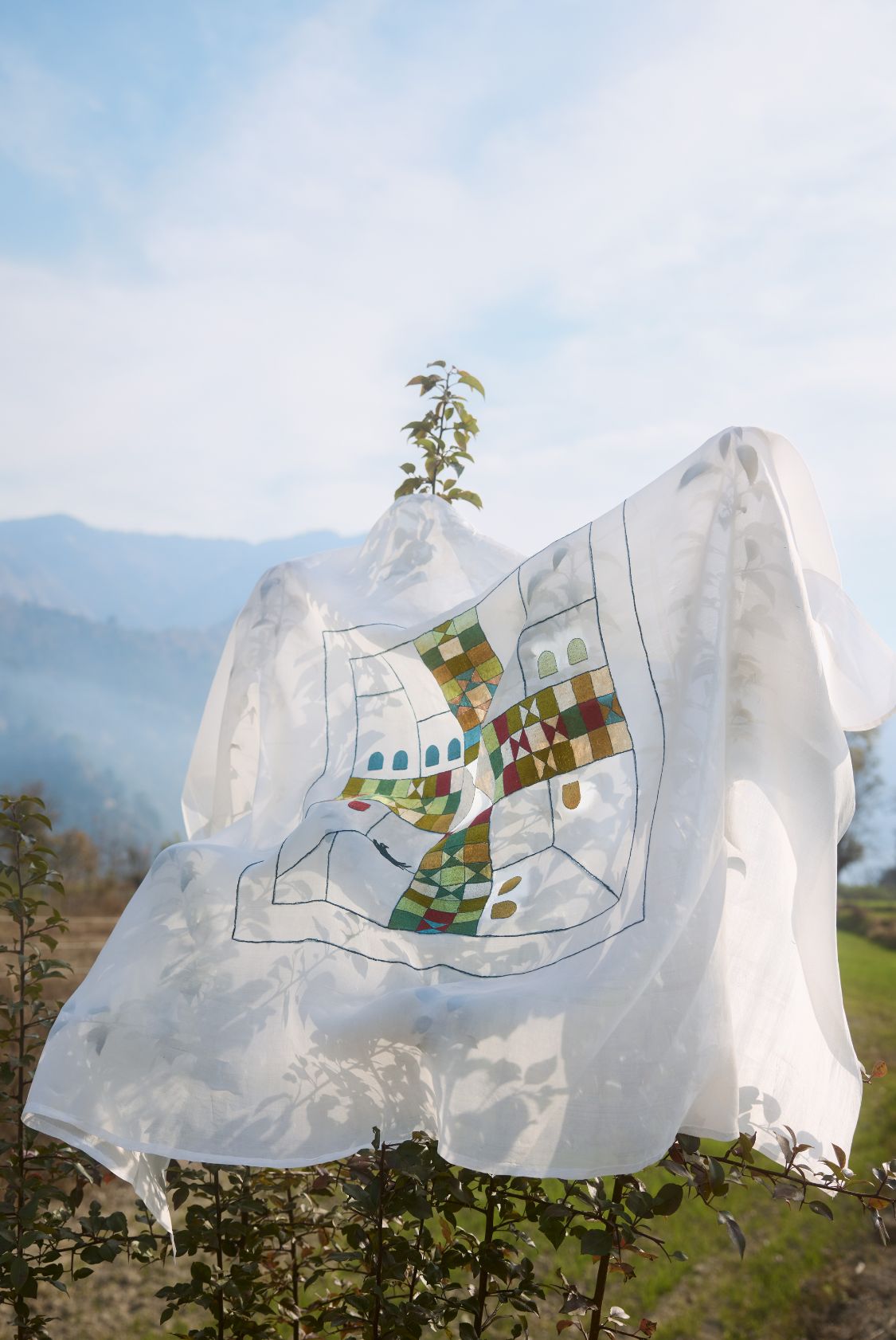 Fields of Chamba