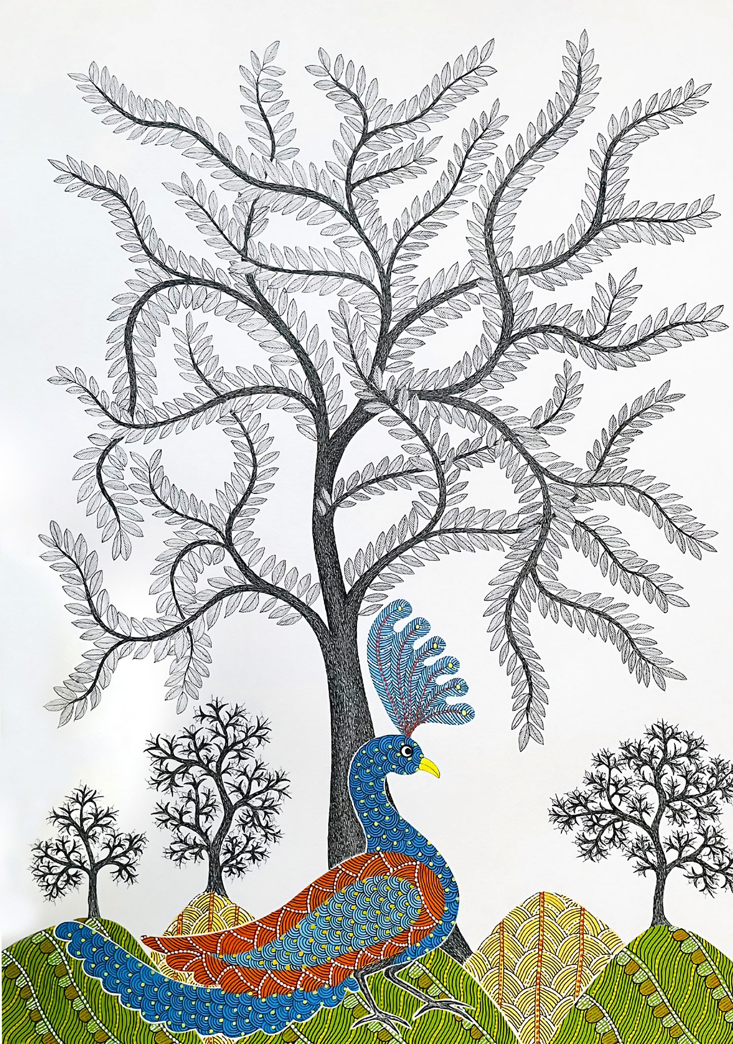Peacock frolicking in a forest