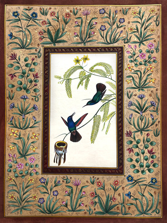 Hummingbirds Feeding