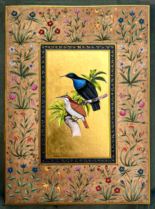 Contrasting Hummingbirds