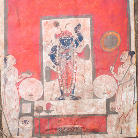 Vibrant Shrinath Darshan