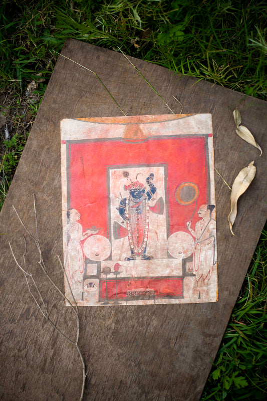 Vibrant Shrinath Darshan