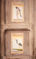 A Pair of Fine Bird