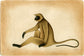 Langoor