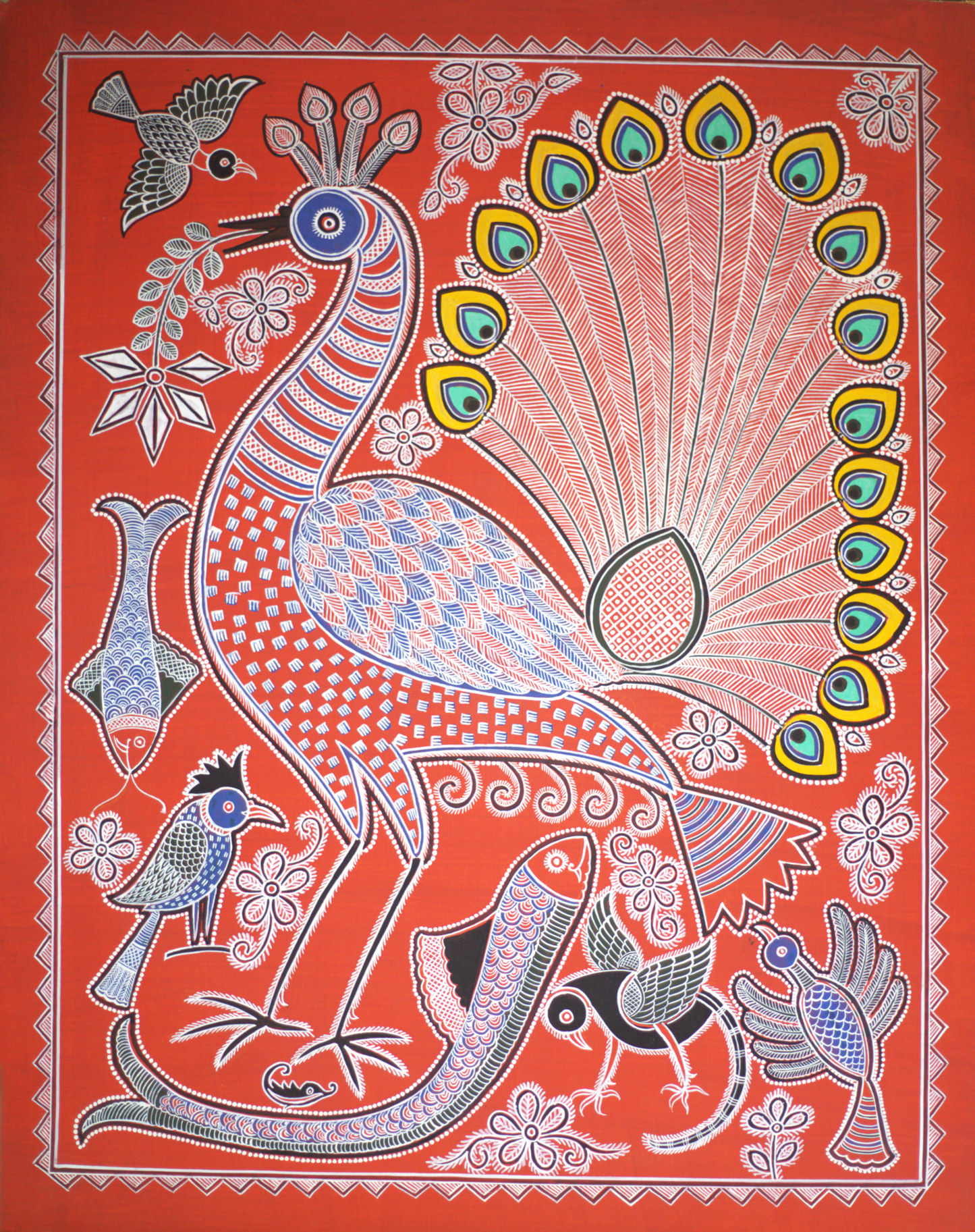 Peacock Majesty