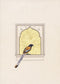 The Birds Balcony