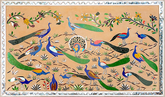 A pride of peacocks