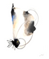 Tethered Thorn