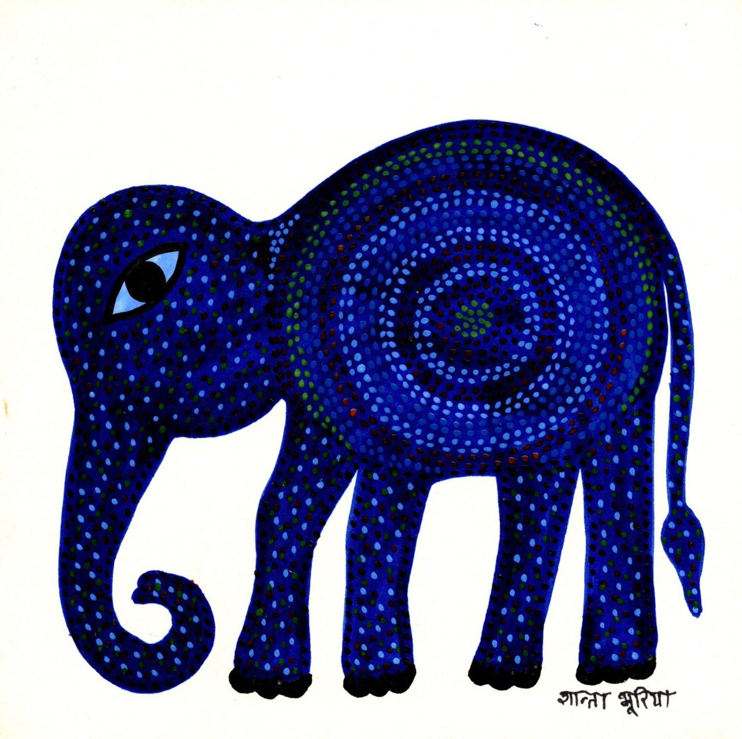 Midnight Elephant