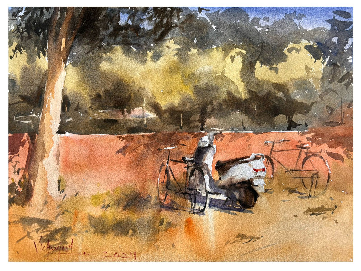 Shade of Afternoon