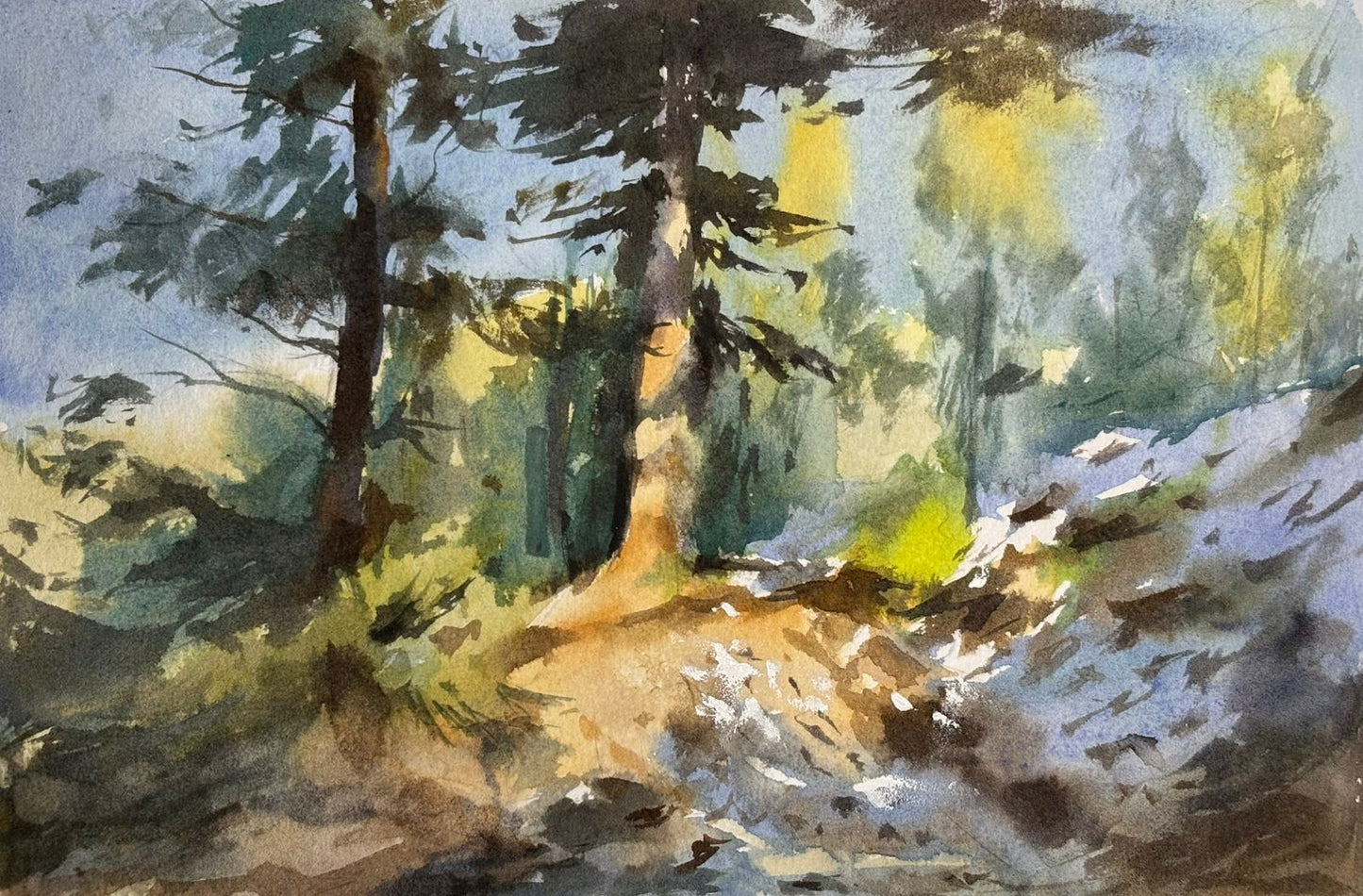 Light Between Pines