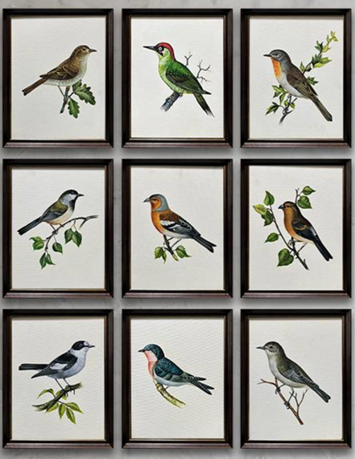 Feathered Companions