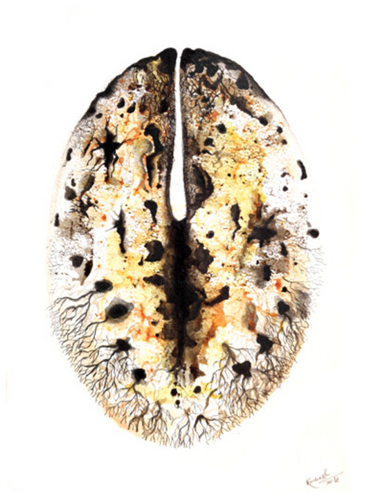 Cleft Kernel, Taking Root